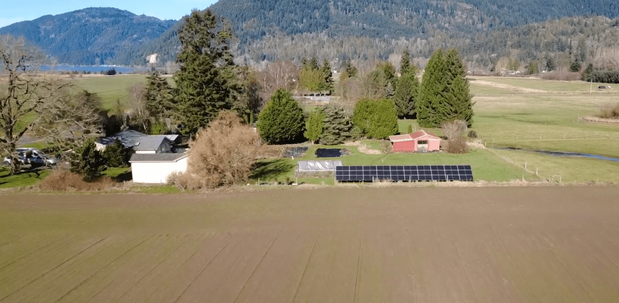 solar panels in a field